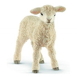 Agneau