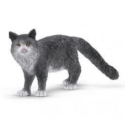 Chat Maine Coon