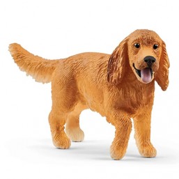 Cocker spaniel anglais