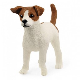Jack Russell terrier