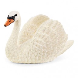 Cygne