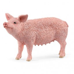 Cochon