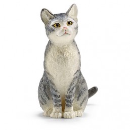Chat assis