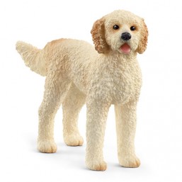 Chien Goldendoodle