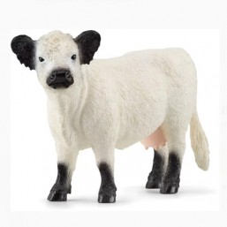 Vache Galloway