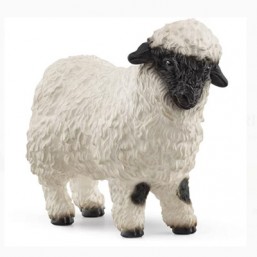 Mouton Nez Noir