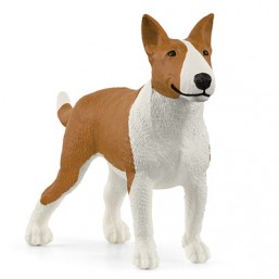 Bull Terrier