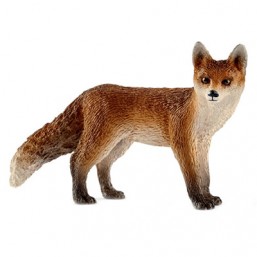 Renard