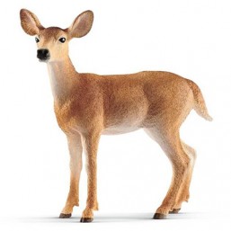 Biche de Virginie