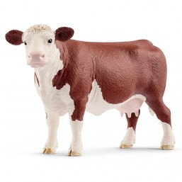 Vache Hereford