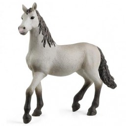 Poulain pure rc espagnole