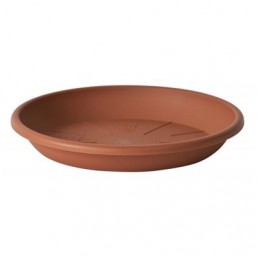 Soucoupe medea 36