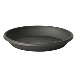 Soucoupe medea 40