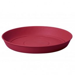 Soucoupe joy 40