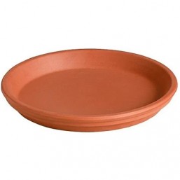 Soucoupe standard 11cm