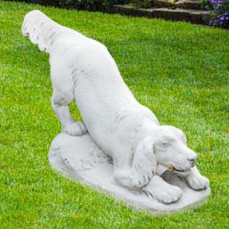 Chien