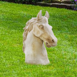 Buste cheval