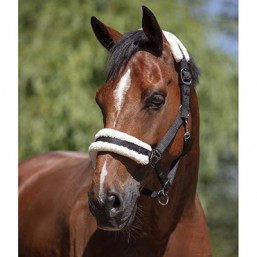 Licol doux noir cheval