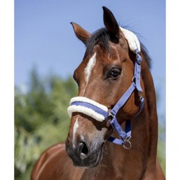 Licol doux marine cheval