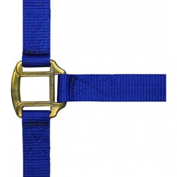 Licol nylon marine d.cuir