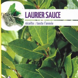 Laurier sauce
