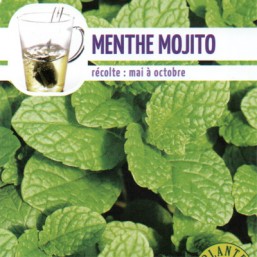 Mente