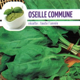 Oseille