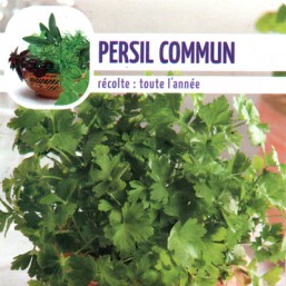Persil