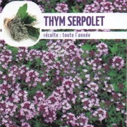 Thym