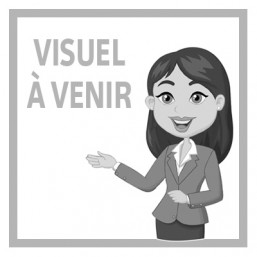 Ceinture élastique 2 bandes