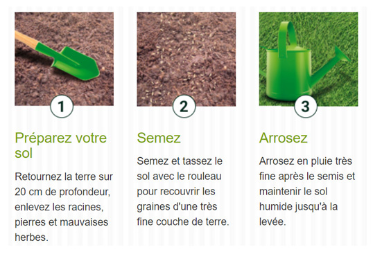 schema plantation semences