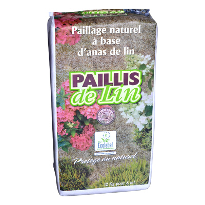 Paillis