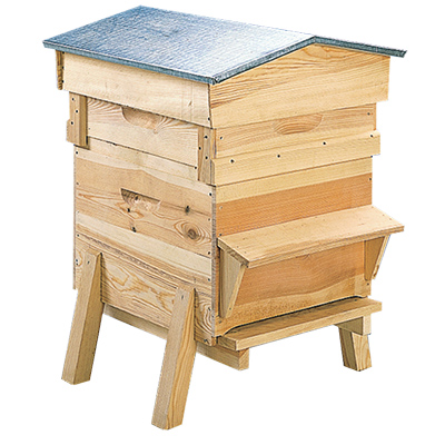 Apiculture